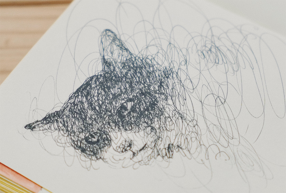 黒いペン一本でぐるぐると円を描きながら描いた強い視線の猫
